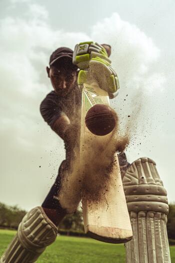 Cricket.jpg Cricket.jpg