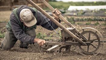 Field-plow.jpg Field-plow.jpg