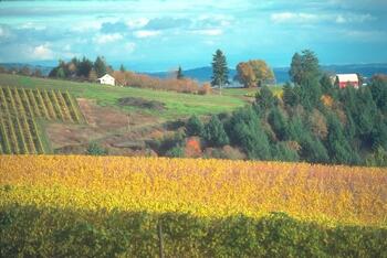 OregonFarm.jpg OregonFarm.jpg
