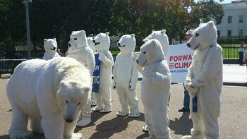 Polar_bear_protest_(10032082375).jpg Polar_bear_protest_(10032082375).jpg