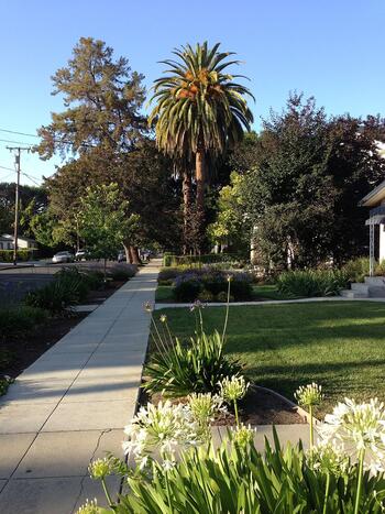 Sidewalk_and_street_in_Mountain_View,_California.jpg Sidewalk_and_street_in_Mountain_View,_California.jpg