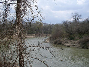 Trinity River near Dallas.jpg Trinity River near Dallas.jpg