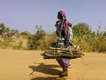 Woman_with-firewood_Chad.jpg Woman_with-firewood_Chad.jpg
