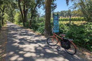 bicycle-transportation.jpg bicycle-transportation.jpg