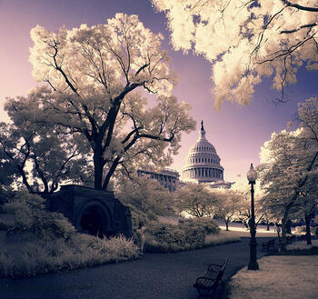 capitol-freeze.jpg capitol-freeze.jpg