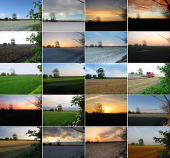 changinglandscape.jpg changinglandscape.jpg