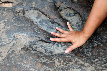 dinosaur-footprint-human-hand.jpg dinosaur-footprint-human-hand.jpg