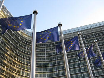 european-union-flags.jpg european-union-flags.jpg