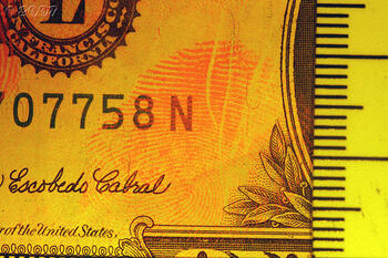 flourescent US dollar bill-1376867166_b39fe16c76.jpg flourescent US dollar bill-1376867166_b39fe16c76.jpg