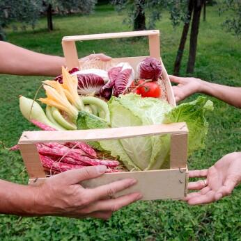 fruit and vegetable basket offering - iStock_000004898669XSmall.jpg fruit and vegetable basket offering - iStock_000004898669XSmall.jpg