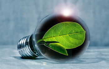 green-electricity.jpg green-electricity.jpg