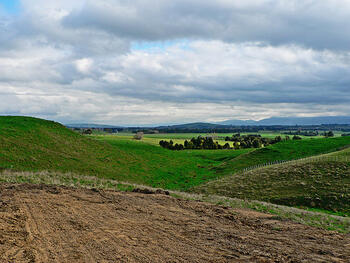 new-zealand-land.jpg new-zealand-land.jpg