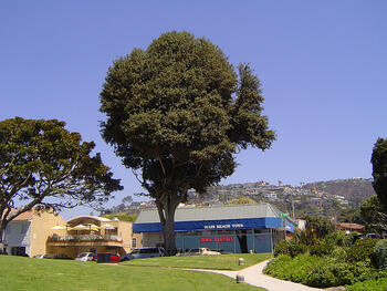 orange-county.jpg orange-county.jpg