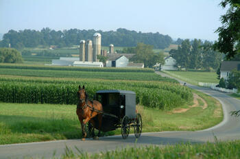 ruralpenn.jpg ruralpenn.jpg
