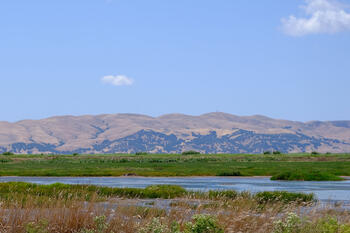 suisin-solano-county.jpg