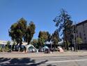1200px-Homeless_encampment_in_Oakland_near_I-980.jpg 1200px-Homeless_encampment_in_Oakland_near_I-980.jpg