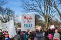 800px-Women's_March_2018_(39807504881).jpg 800px-Women's_March_2018_(39807504881).jpg