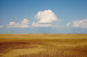 Cumulus_Clouds_over_South-Dakota_Prairie.jpg Cumulus_Clouds_over_South-Dakota_Prairie.jpg