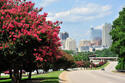 Raleigh_skyline_along_S_Saunders_st.jpg Raleigh_skyline_along_S_Saunders_st.jpg