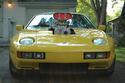 Rick Harrison's Car.jpg Rick Harrison's Car.jpg