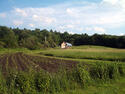 Vermont, Four Springs Farm.jpg