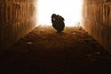 america-pursues-expensive-electricity-while-much-of-the-world-lives-in-energy-poverty.jpg