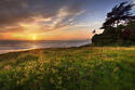 california-sunset.jpg california-sunset.jpg