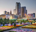 dallasflowers.jpg dallasflowers.jpg