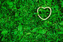 greenheart.jpg greenheart.jpg