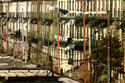 iStock_000000435075XSmall.jpg iStock_000000435075XSmall.jpg