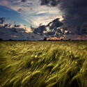 iStock_000006406418XSmall.jpg iStock_000006406418XSmall.jpg