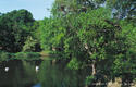 image001.jpg