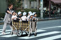 nursery-cart.jpg nursery-cart.jpg