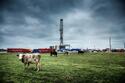 oil-rig-and-cows-in-the-heartland-1400x-q100.jpg oil-rig-and-cows-in-the-heartland-1400x-q100.jpg