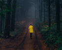 path-ahead-suburbia.jpg