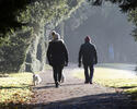 people-walking-dog-in-park.jpg people-walking-dog-in-park.jpg