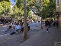 urban-forest-lead.jpg urban-forest-lead.jpg