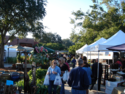winter-park-farmers-market.png winter-park-farmers-market.png